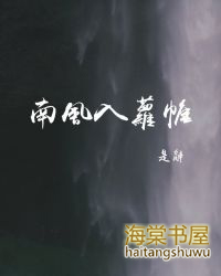 南风入帷小说