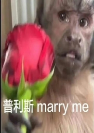 周文成黎妮妮后续剧情