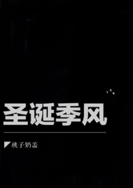 圣诞季销售策略