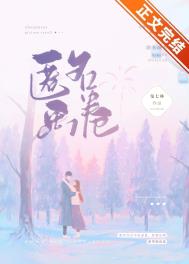匿名画卷 小说